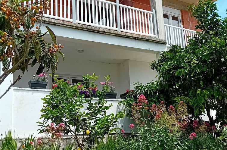 Appartement Delfa Pećarina