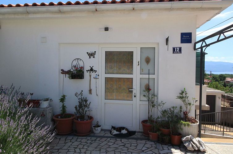 Appartement Apartment Renata