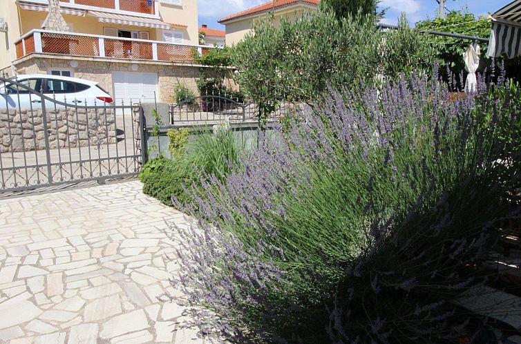 Appartement Apartment Renata