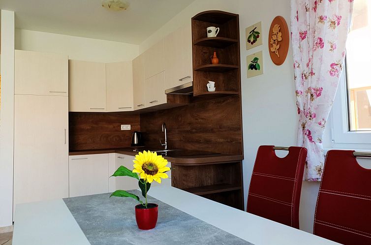 Appartement Apartment Branka