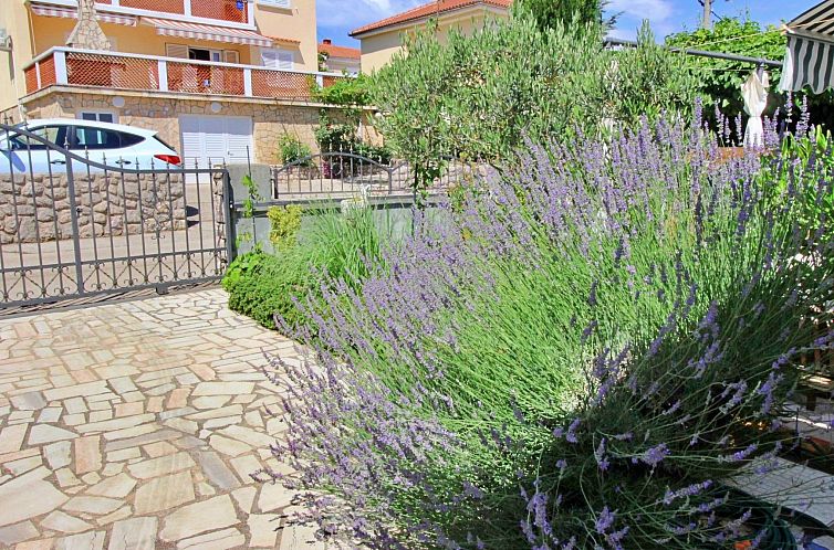 Appartement Apartment >Renata