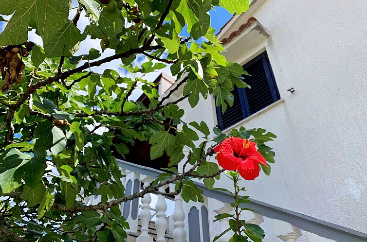 Appartement Apartment Horvat