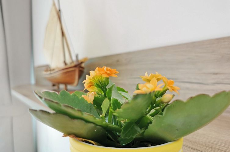 Appartement Studio Glorijeta