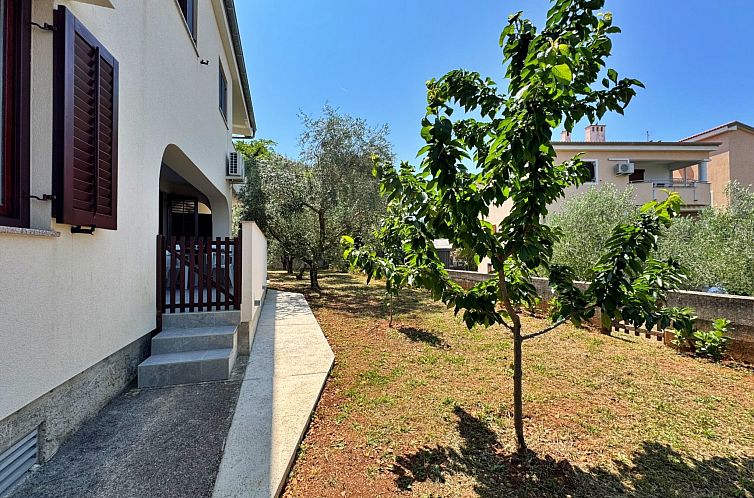 Appartement Apartment Dunato I.