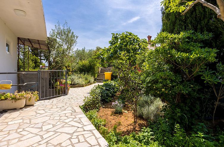 Appartement Apartment Andjelko