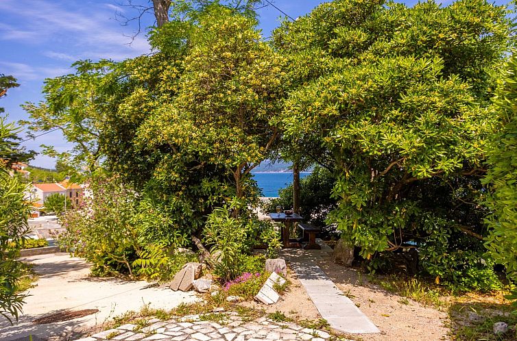 Appartement Apartment Andjelko