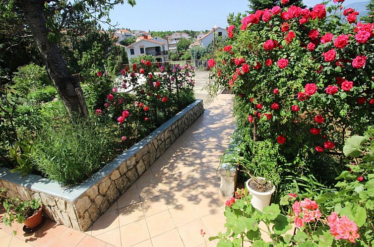 Appartement Apartment Dragica