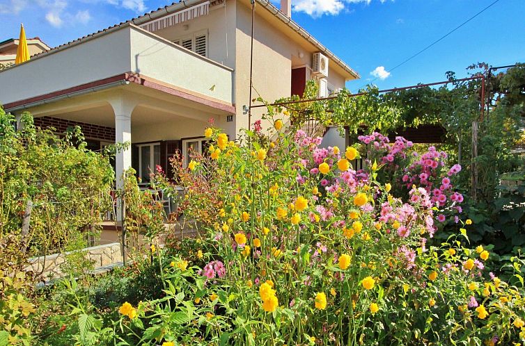 Appartement Apartment Dragica