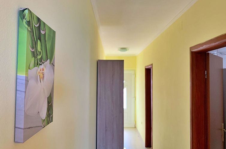 Appartement Apartment Beach 1