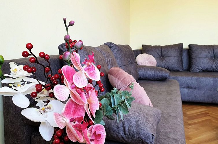 Appartement Apartment Jakominic