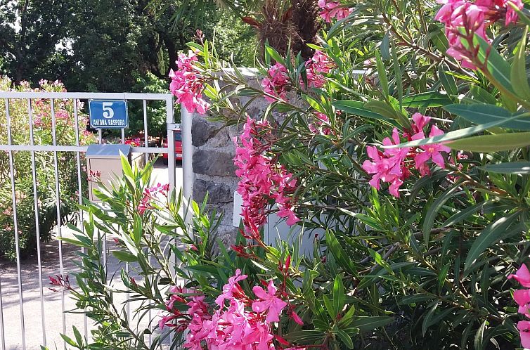 Appartement Wohnung "Oleandri1" mit Blick auf das Wasser