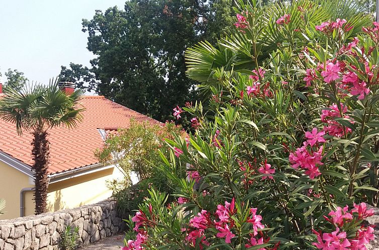 Guest house 1044038 - Apartment Kvarner - Appartement Apartment Oleandri A2 mit Meerblickbalkon