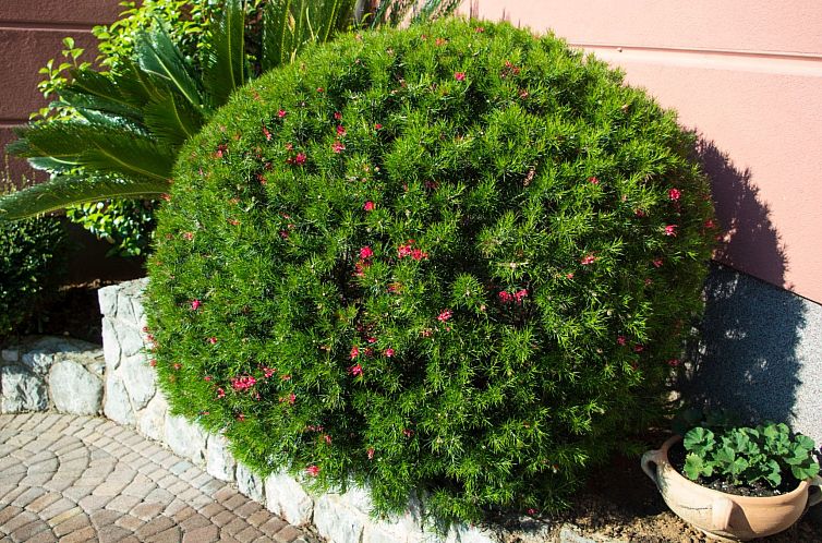 Appartement Modernes Apartment mit großer Terrasse und Gril