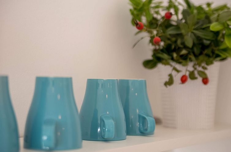 Appartement apartment "Vila Veronique 7"