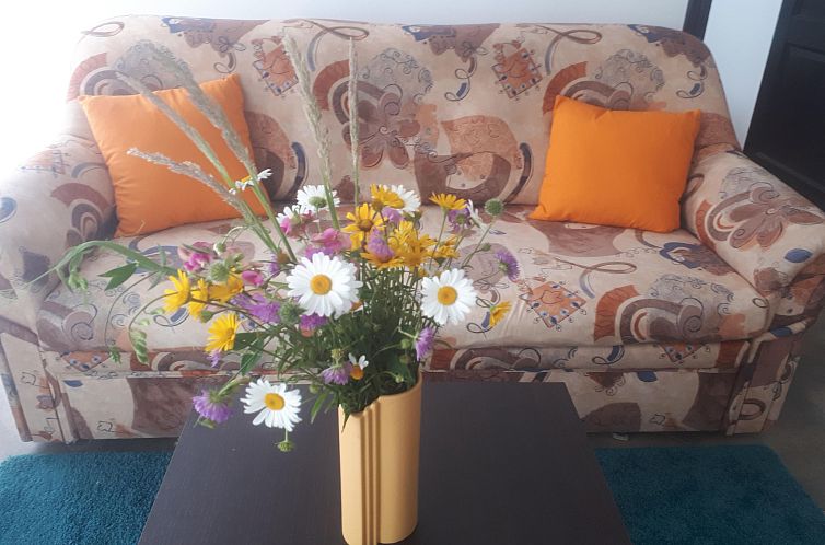 Appartement mit herrlicher Aussicht