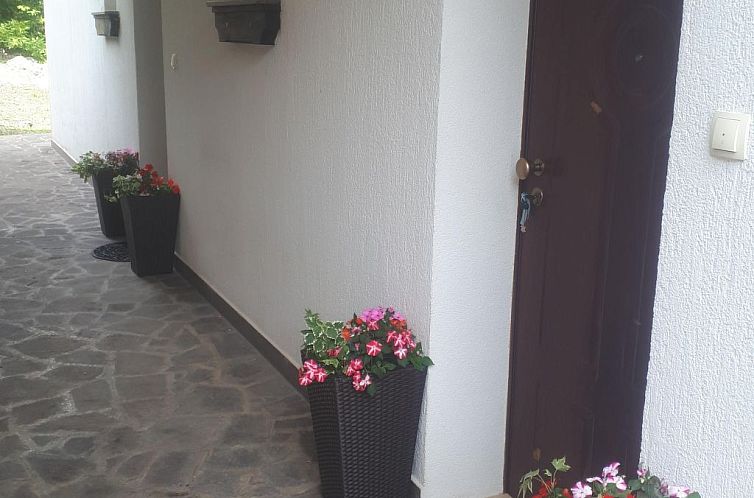 Appartement mit herrlicher Aussicht