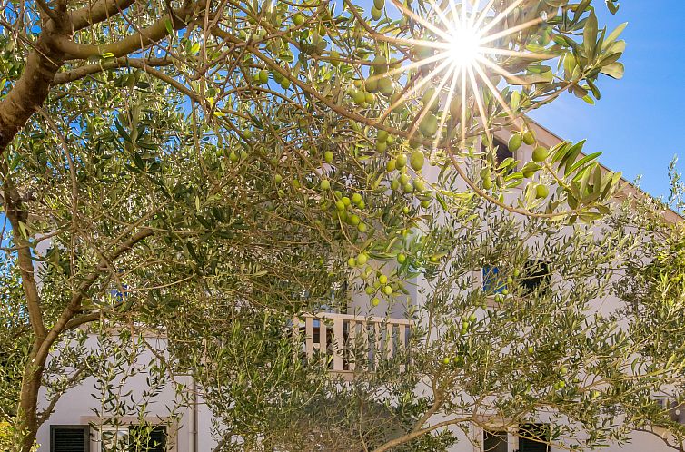 Appartement Pavica 2