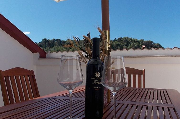 Appartement mit Terrasse für 9 Personen