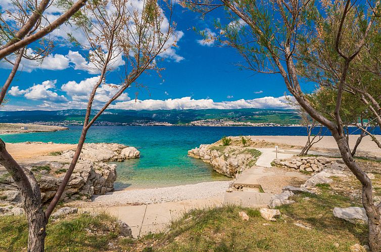 Vakantiehuis Premium Family