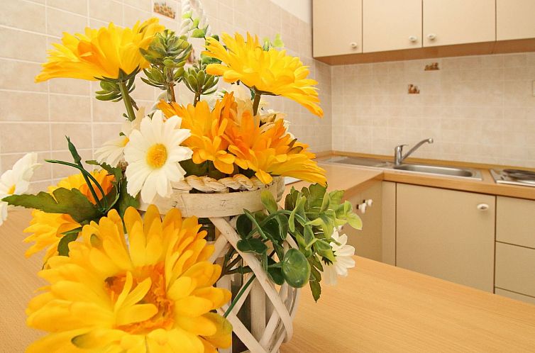 Appartement Apartment Radosna