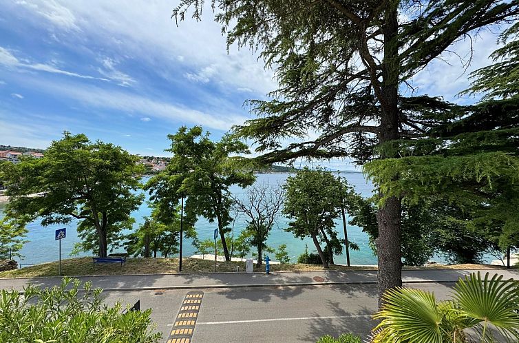 Appartement Apartment Scheich