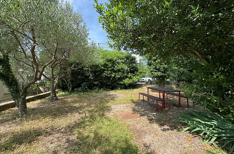 Appartement Apartment Scheich