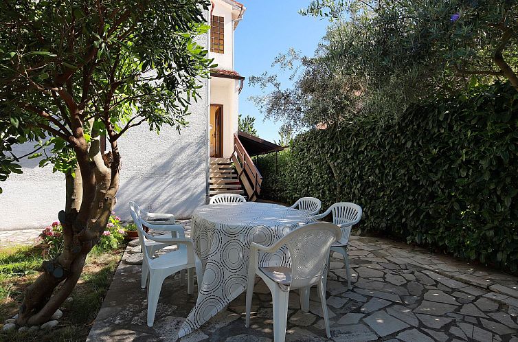 Appartement Svoboda 3