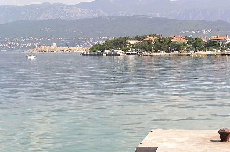 Appartement Zwei-Zimmer-Wohnung Radosav