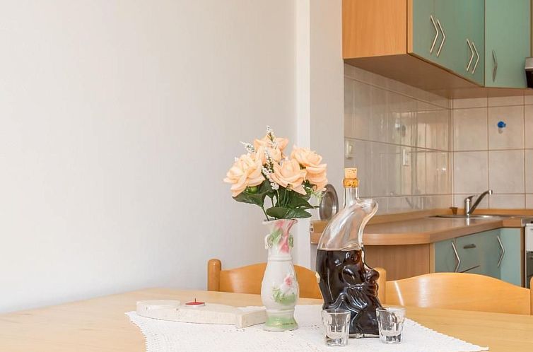 Appartement Gemütliche Wohnung Branko 2