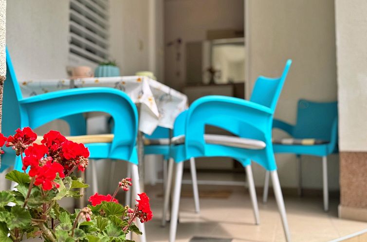 Appartement Apartment Car