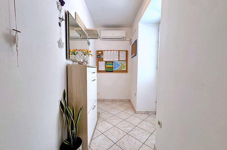 Appartement Apartment Car