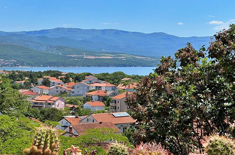 Appartement Studio Andjelka