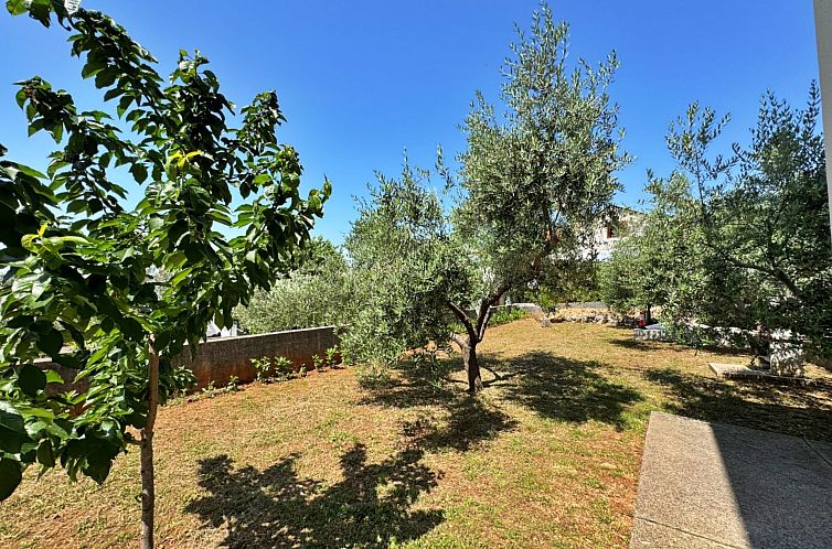 Appartement Apartment Dunato I.