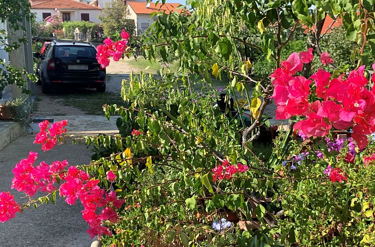 Appartement Apartment Gordana