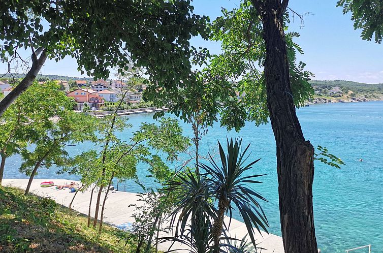 Appartement Apartment Scheich