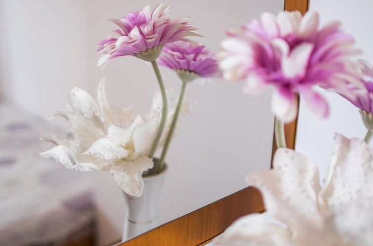 Appartement Apartman Višnja  - ID 2106