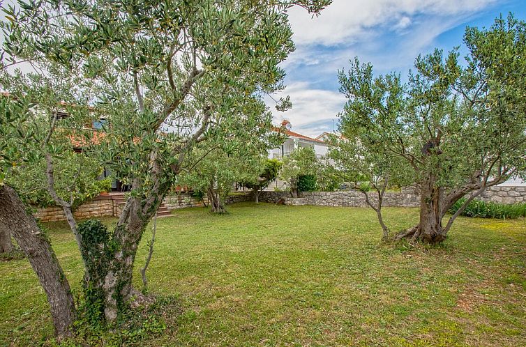 Vakantiehuis Villa "Olive Tree" mit Schwimmbad