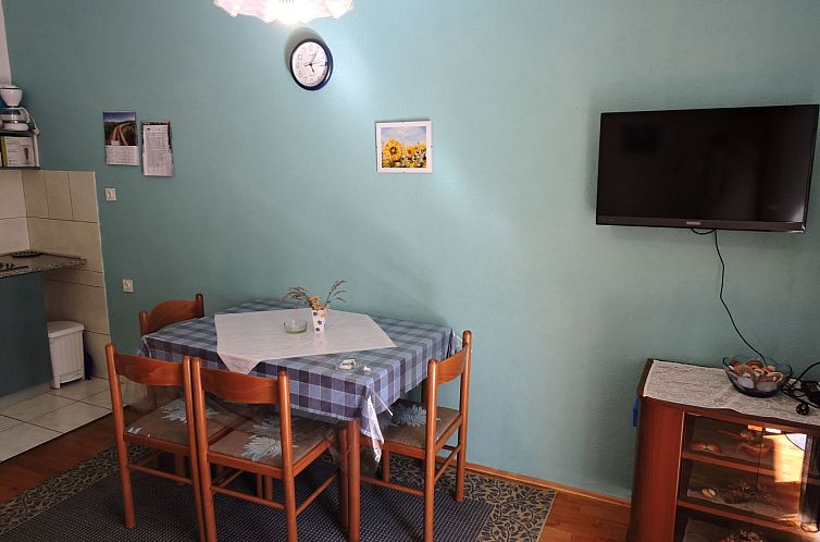 Vakantiehuis Apartment 1