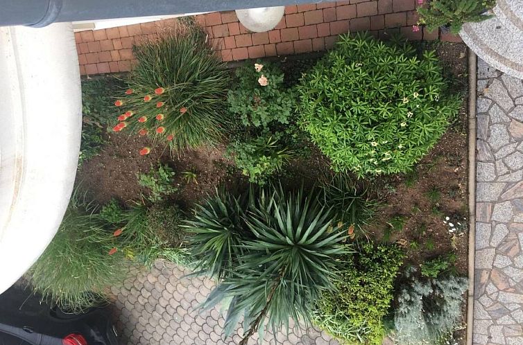 Appartement Erdgeschoss-Apartment A2