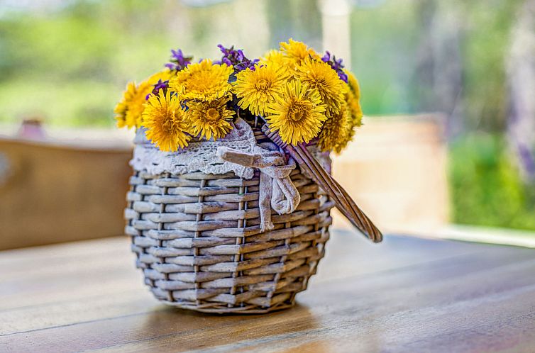 Vakantiehuis Plitvice II