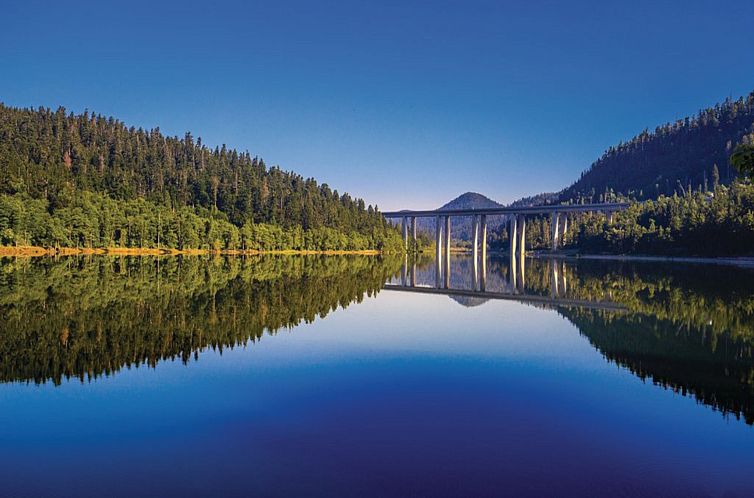 Vakantiehuis The Fox