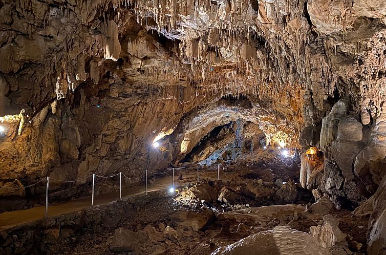 Vakantiehuis The Fox