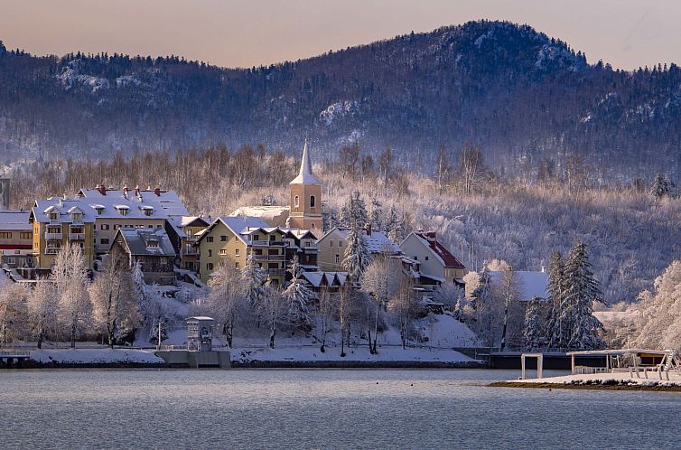 Vakantiehuis Fužine