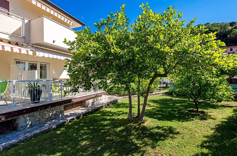 Appartement Wohnung "Zwillingsterrassen Gartenwohnung"