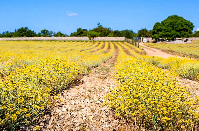 Appartement Gordana 2