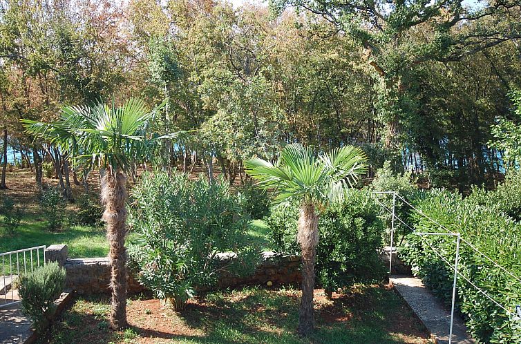 Appartement Apartment Igor