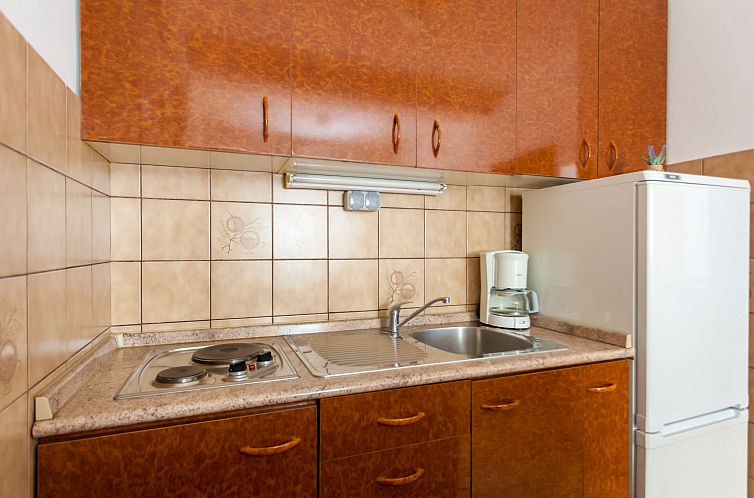 Appartement Apartment Belavic - 2