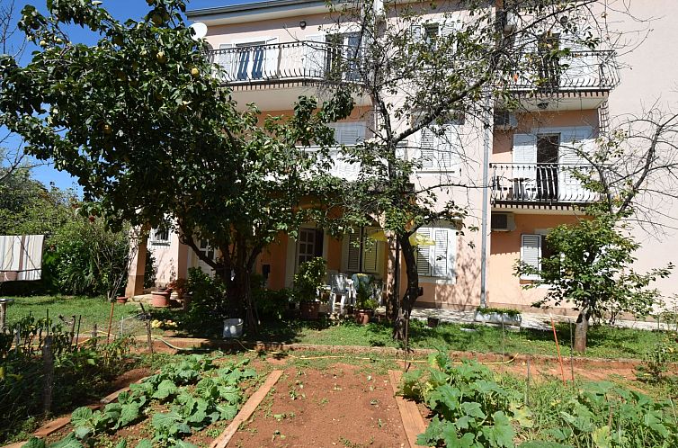 Unterkunft 1048165 - Appartement Kvarner - Appartement Jelka 3