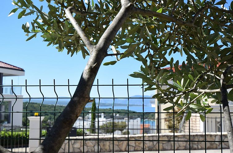 Appartement Marjolovic 2