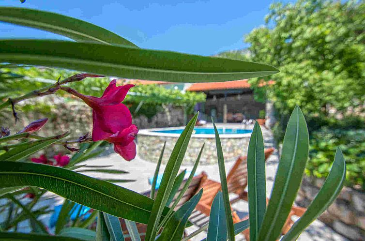 Unterkunft 1048322 - Ferienhaus Kvarner - Vakantiehuis Kruzic kuca / HR-09573-01